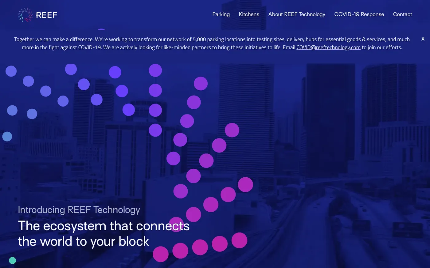 REEF website